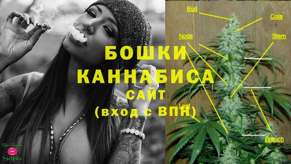 тгк Инта