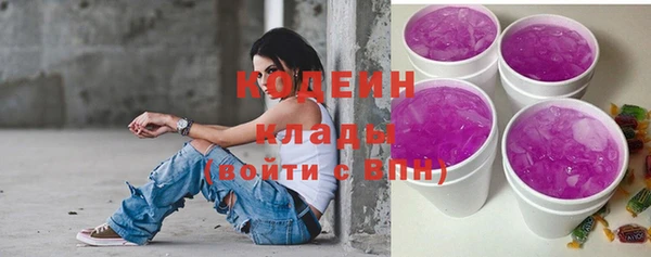 тгк Инта
