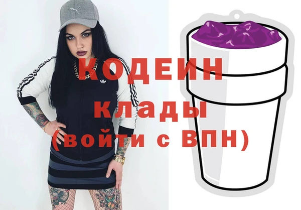 индика Инсар
