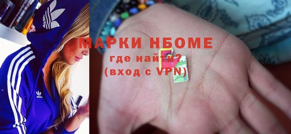 индика Инсар