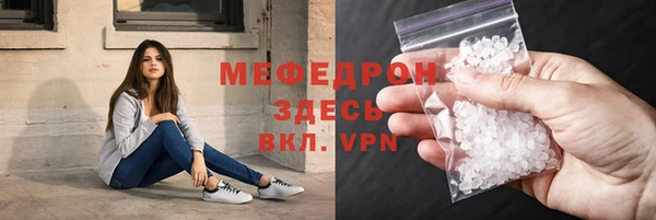 индика Инсар