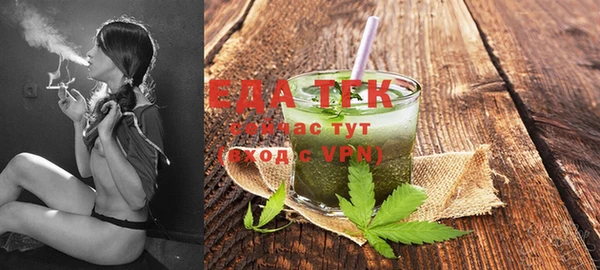 индика Инсар