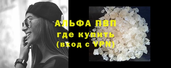 индика Инсар