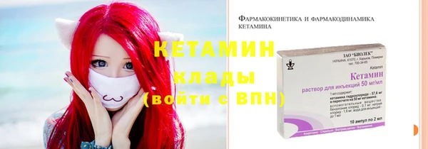 индика Инсар