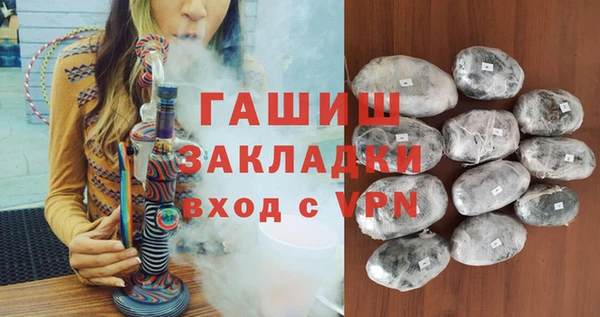 индика Инсар