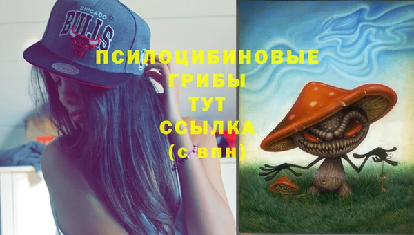 индика Инсар