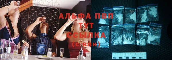 индика Инсар