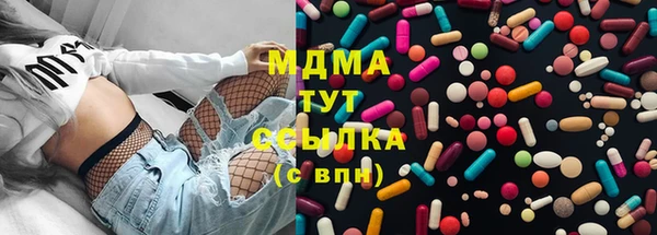индика Инсар