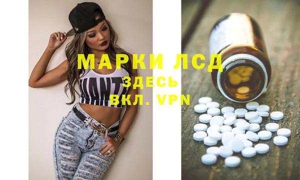 тгк Инта