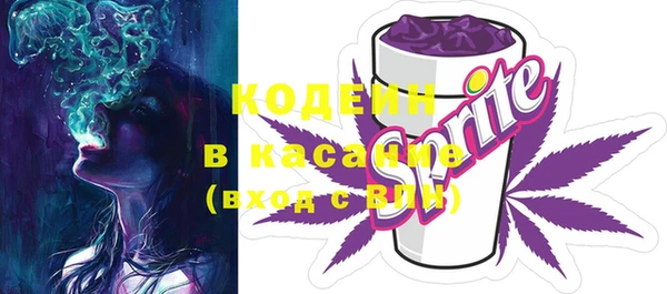 индика Инсар