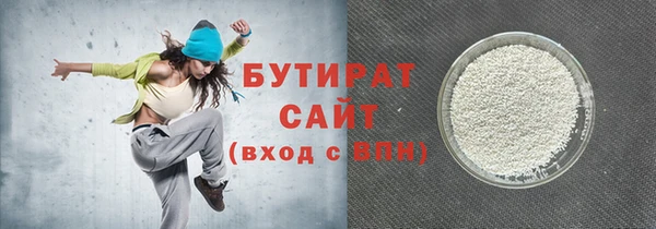 индика Инсар
