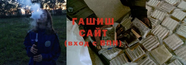 индика Инсар